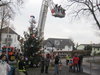 Weihnachtsbaum-2012-040