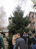 Weihnachtsbaum-2013-011