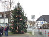Weihnachtsbaum-2015-013
