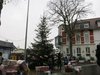 Weihnachtsbaum-2018-011